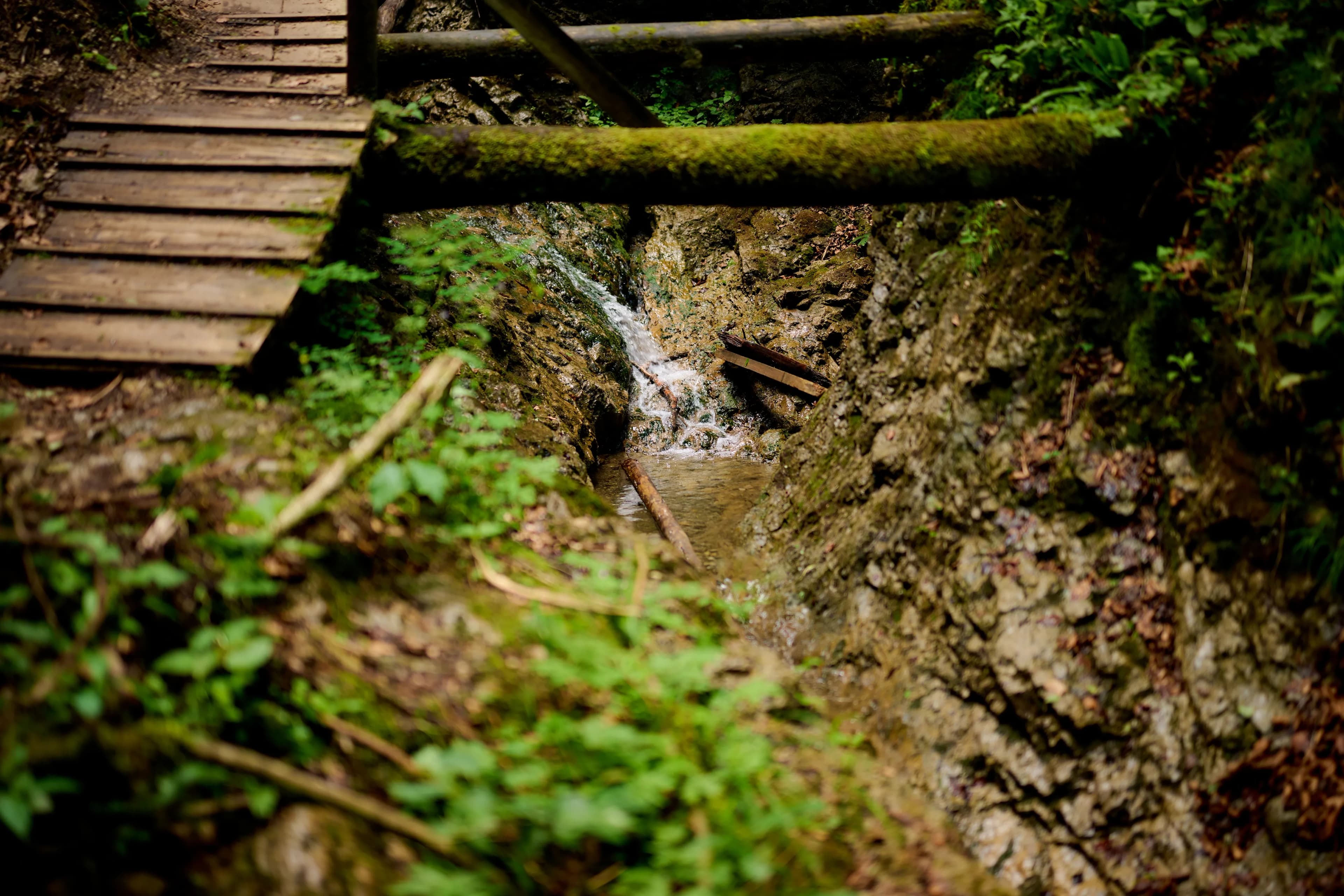 CHEILE „MOARA DRACULUI”
