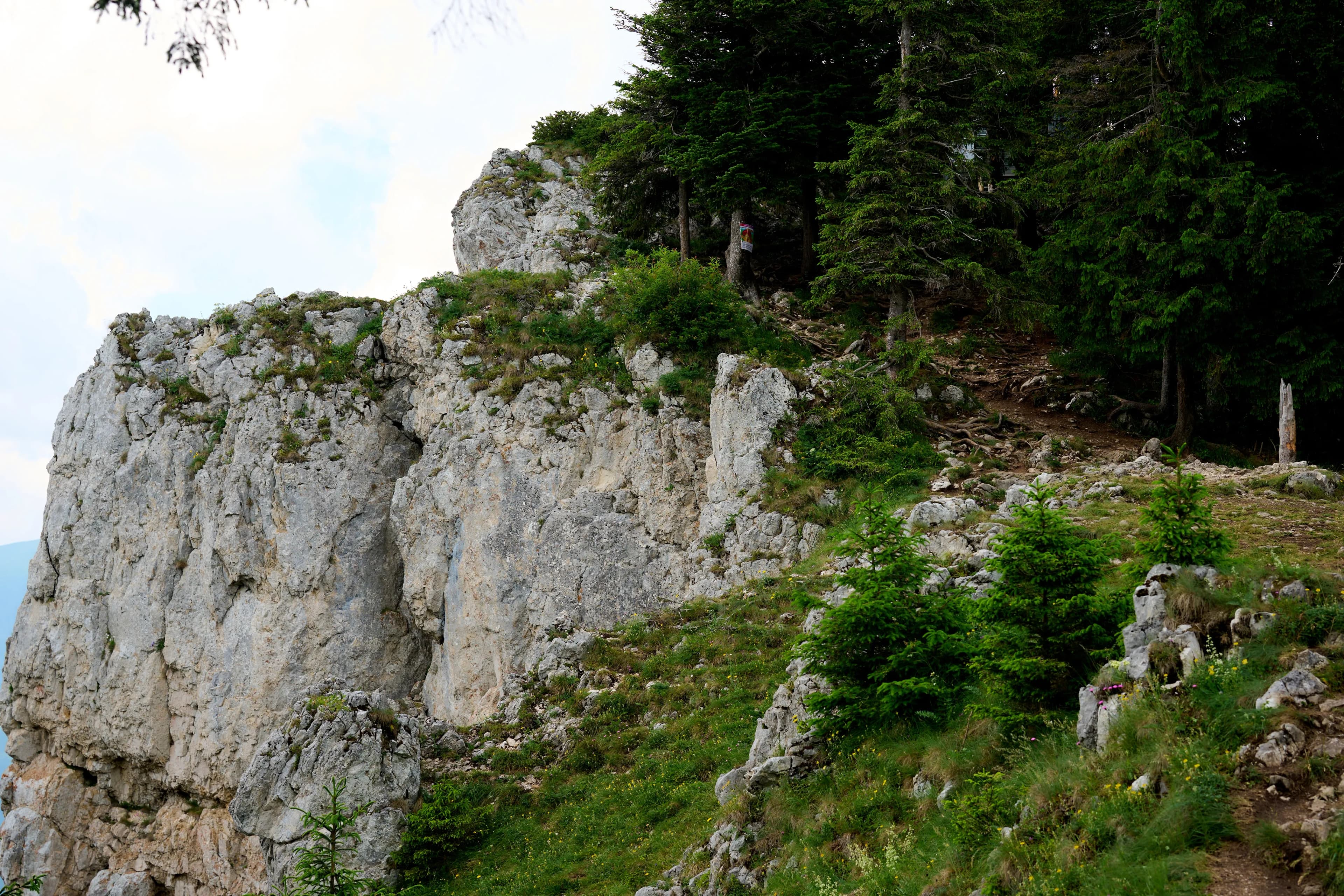 PIATRA ȘOIMULUI